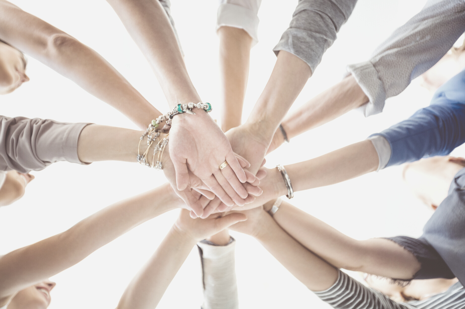 Women’s team. Group of women holding hands